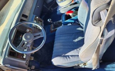Chevrolet-Monte-carlo-1984-Blue-Blue-6