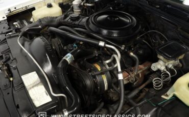Chevrolet-Monte-carlo-1984-White-Light-Blue-13