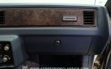 Chevrolet-Monte-carlo-1984-White-Light-Blue-48