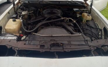 Chevrolet-Monte-carlo-1987-7