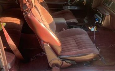 Chevrolet-Monte-carlo-1987-Black-Cherry-1