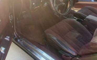 Chevrolet-Monte-carlo-1987-Black-Cherry-3