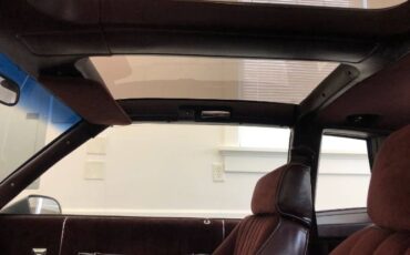 Chevrolet-Monte-carlo-1987-Silver-Burgundy-13