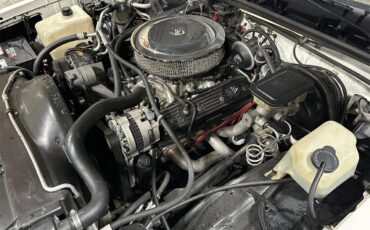 Chevrolet-Monte-carlo-ss-1988-white-tan-15