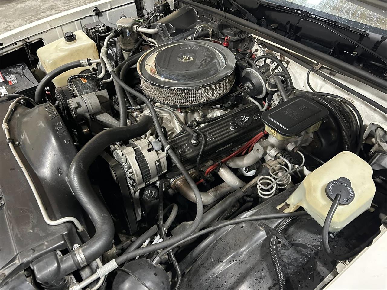 Chevrolet-Monte-carlo-ss-1988-white-tan-15