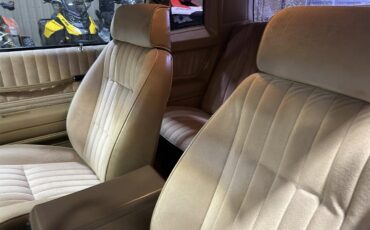 Chevrolet-Monte-carlo-ss-1988-white-tan-25