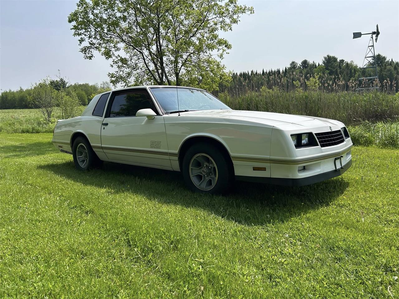 Chevrolet-Monte-carlo-ss-1988-white-tan-27