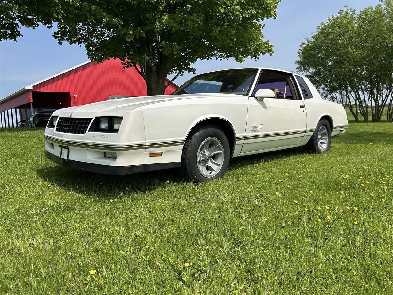 Chevrolet-Monte-carlo-ss-1988-white-tan-8