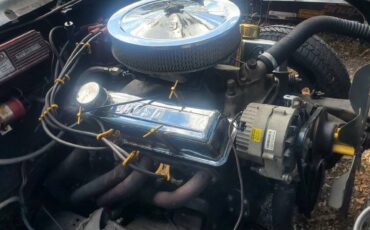 Chevrolet-Montecarlo-1983-11