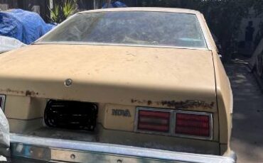 Chevrolet-Nova-1977-1