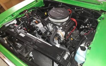 Chevrolet-Nova-1977-Green-5