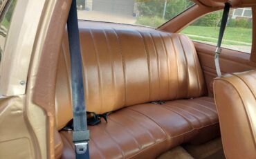 Chevrolet-Nova-1978-13