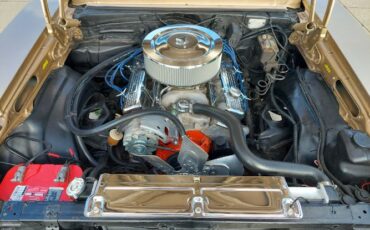 Chevrolet-Nova-1978-31