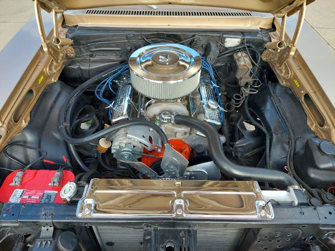 Chevrolet-Nova-1978-31