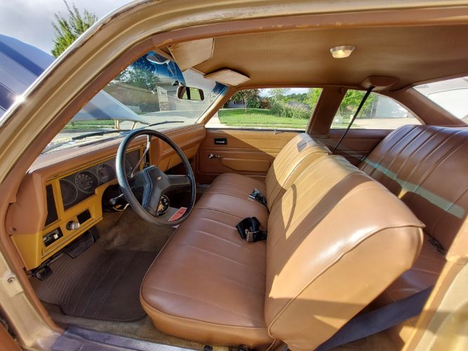 Chevrolet-Nova-1978-34