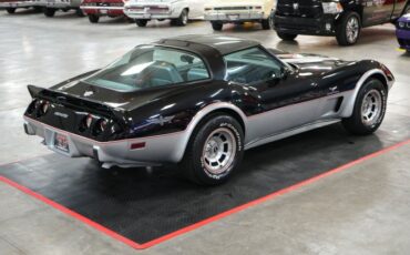 Chevrolet-Other-1978-Silver-Gray-10