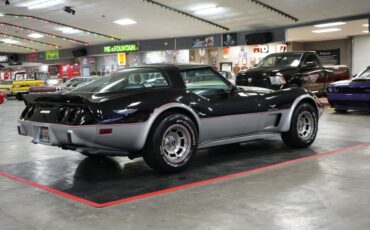 Chevrolet-Other-1978-Silver-Gray-18