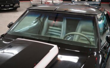 Chevrolet-Other-1978-Silver-Gray-41