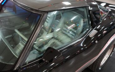 Chevrolet-Other-1978-Silver-Gray-45