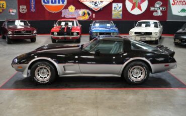 Chevrolet-Other-1978-Silver-Gray-7