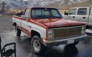 Chevrolet-Other-1980-3