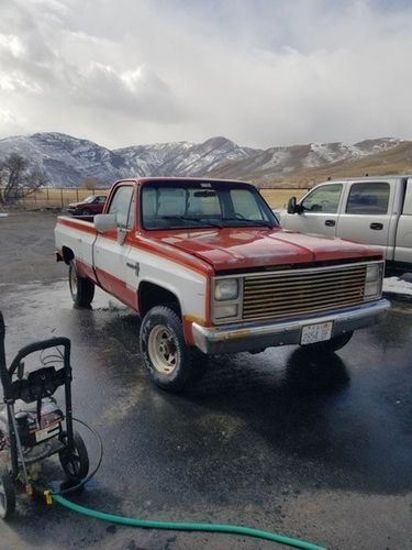 Chevrolet-Other-1980-3