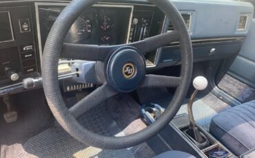 Chevrolet-Other-1980-Coupe-33