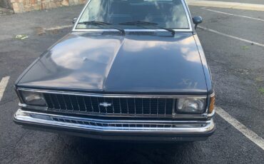 Chevrolet-Other-1980-Coupe