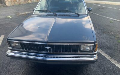Chevrolet Other 1980 Coupe
