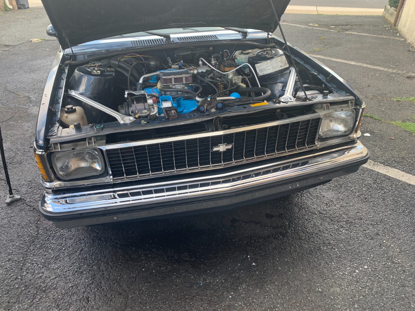 Chevrolet-Other-1980-Coupe-6