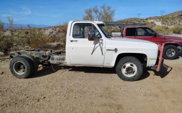 Chevrolet-Other-1983-White-1