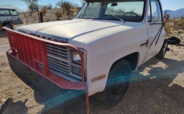 Chevrolet-Other-1983-White-10