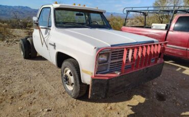 Chevrolet-Other-1983-White-9