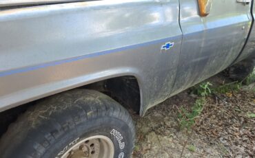 Chevrolet-Other-1987-17