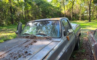 Chevrolet-Other-1987-27
