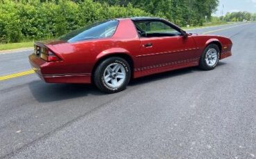 Chevrolet-Other-1989-Burgandy-Gray-1