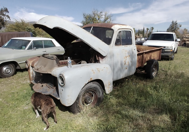 Chevrolet-Other-Pickups-1953-Standard-Cab-Pickup-5