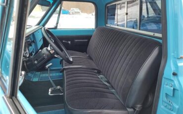 Chevrolet-Other-Pickups-1967-PickupTruck-35