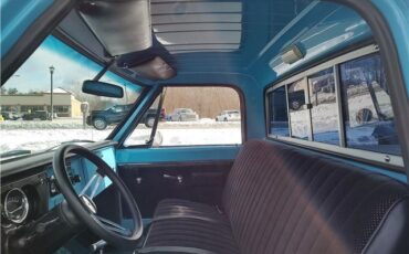 Chevrolet-Other-Pickups-1967-PickupTruck-39