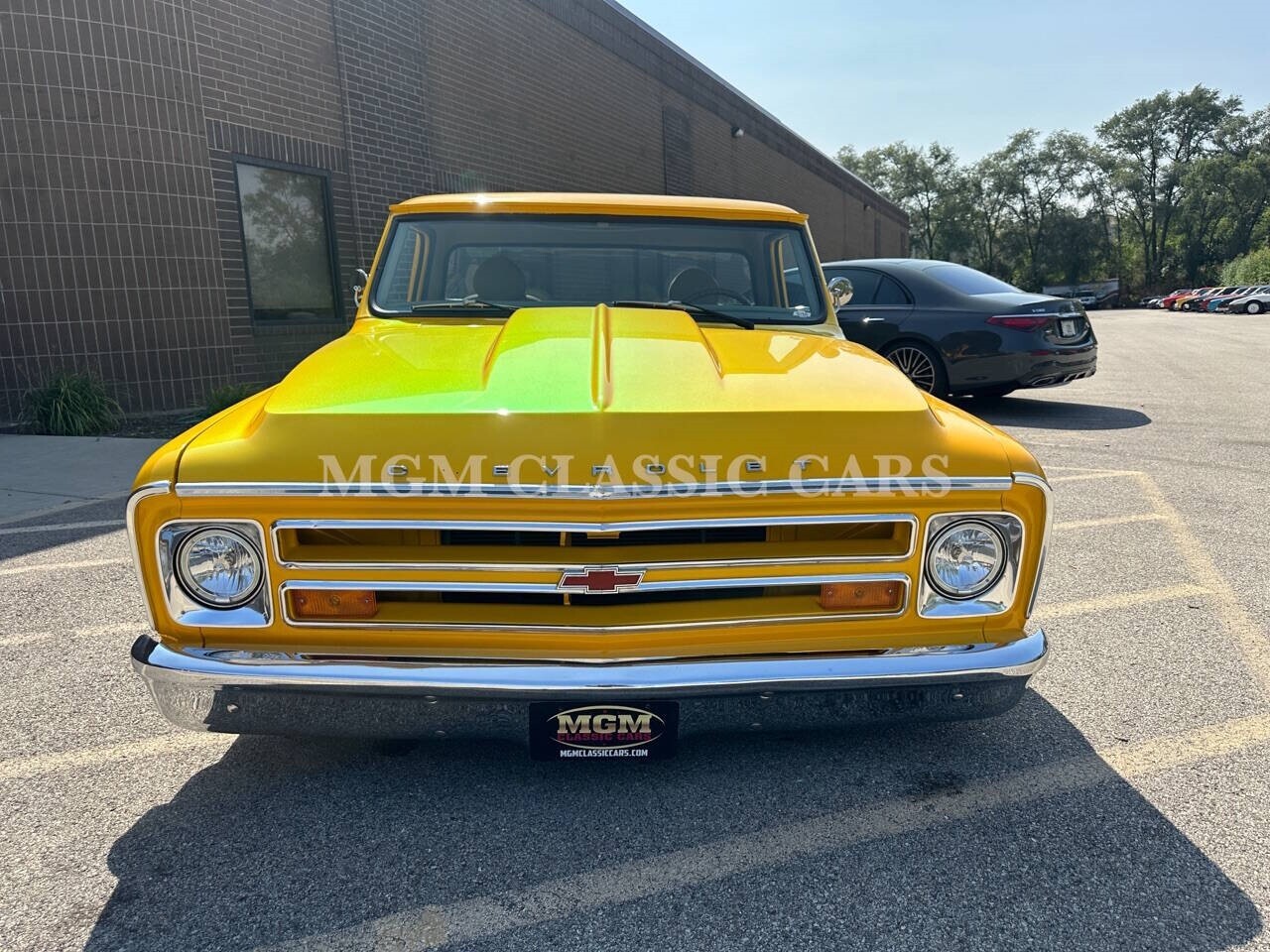 Chevrolet-Other-Pickups-1969-Pickup-Truck-9