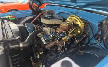 Chevrolet-Other-Pickups-1972-Pickup-Truck-19