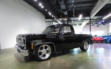 Chevrolet-Other-Pickups-1975-Pickup-Truck-1