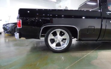 Chevrolet-Other-Pickups-1975-Pickup-Truck-10