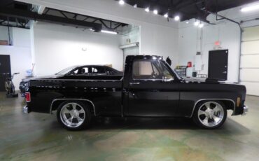 Chevrolet-Other-Pickups-1975-Pickup-Truck-11