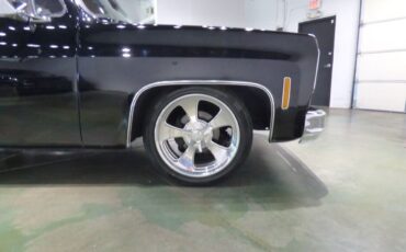 Chevrolet-Other-Pickups-1975-Pickup-Truck-12