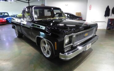 Chevrolet-Other-Pickups-1975-Pickup-Truck-13