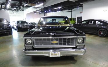Chevrolet-Other-Pickups-1975-Pickup-Truck-14