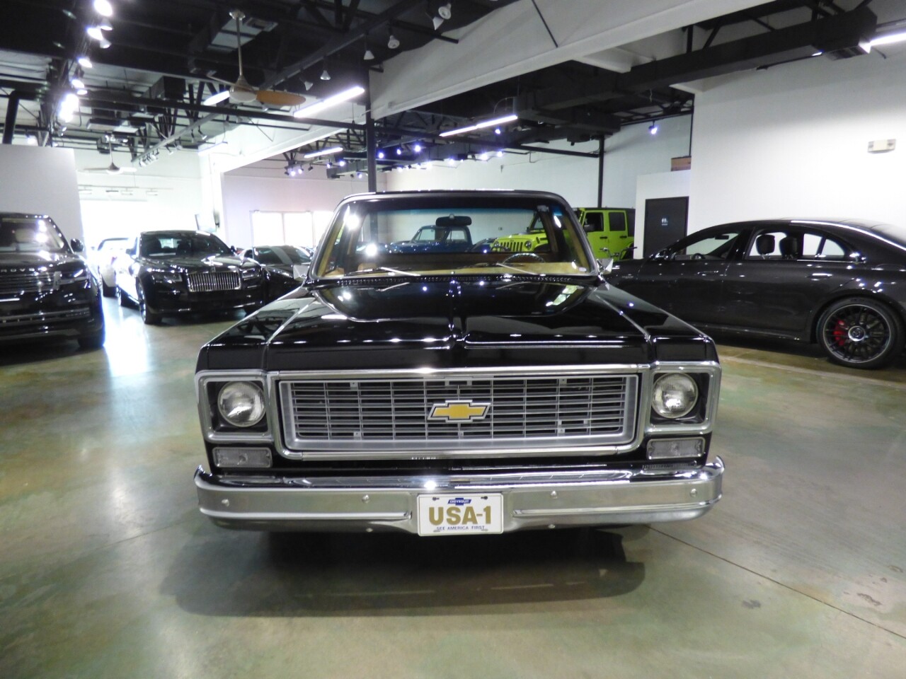 Chevrolet-Other-Pickups-1975-Pickup-Truck-14