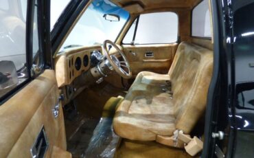 Chevrolet-Other-Pickups-1975-Pickup-Truck-16