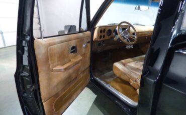 Chevrolet-Other-Pickups-1975-Pickup-Truck-17